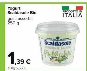 Carrefour Scaldasole Yogurt offerta