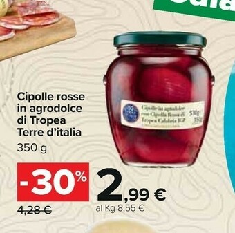Carrefour Terre d'Italia Cipolle offerta