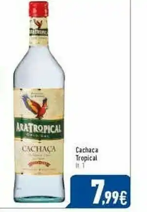 Tropical Bibite
