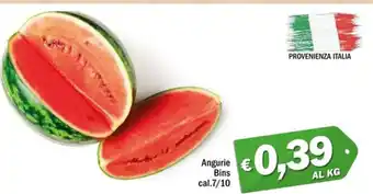 Angurie Bins cal. 7/10