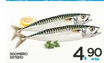 Sgombro Estero