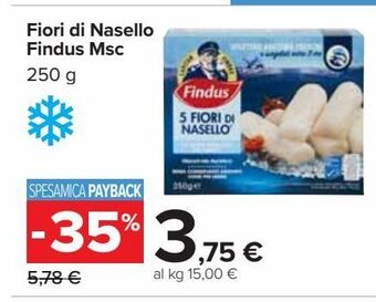 Carrefour Market Fiori di nasello findus msc 250 g offerta