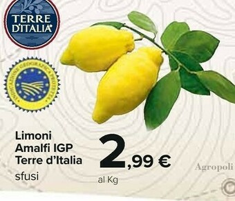 Terre D'Italia Limoni Amalfi Igp
