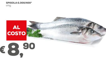 Spigola g.300/400*