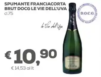 Le Vie Dell'Uva Spumante Franciacorta Brut DOCG cl.75