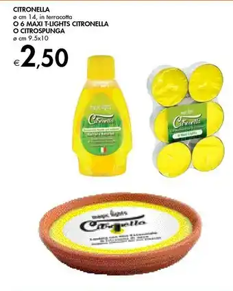 Bennet Citronella O 6 Maxi T- Lights Citronella O Citrospunga offerta
