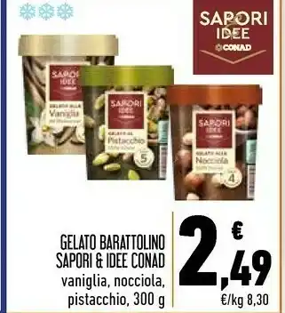 Conad Sapori Conad Gelato Barattolino & Idee Vaniglia offerta