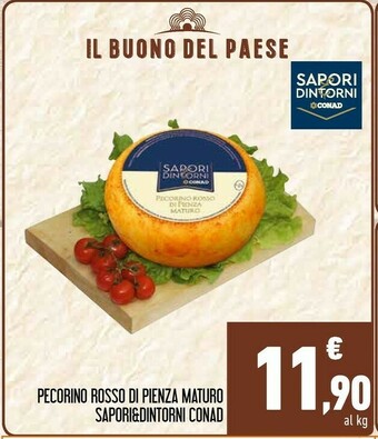 Conad Sapori&dintorni Conad Pecorino Rosso Di Pienza Maturo offerta