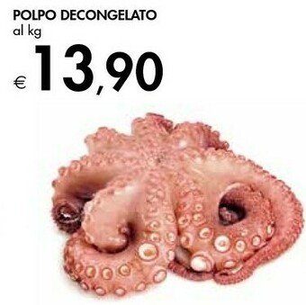 Bennet Polpo Decongelato offerta