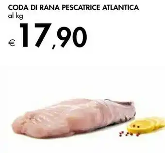 Bennet Racoda Di Rana Pescatrice Atlantica offerta