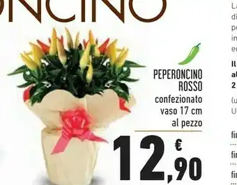 Conad City Conad Peperoncino Rosso offerta