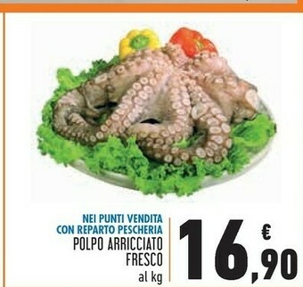 Conad Polpo Arricciato Fresco offerta