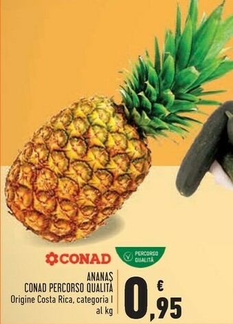 Conad Costa Ananas offerta