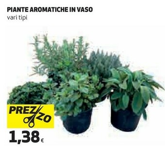 Coop Piante offerta