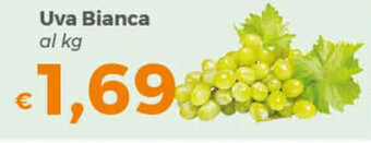 Uva Bianca