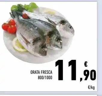 Conad Superstore Orata fresca offerta