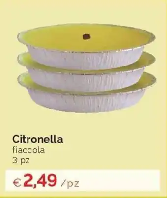 Prodet Citronella fiaccola 3pz offerta