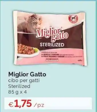 Miglior Gatto 85gx4