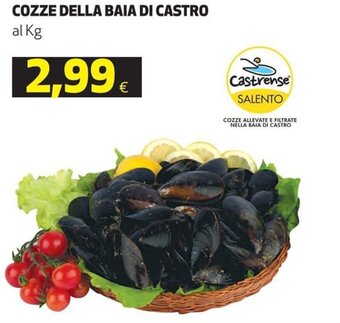 Coop Cozze Della Baia di Castro offerta