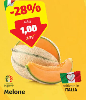 ALDI Melone offerta