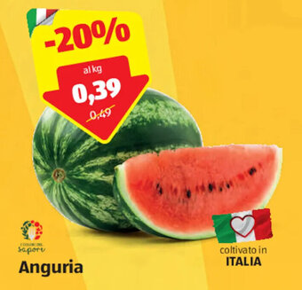 ALDI Anguria offerta