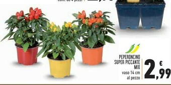Conad Peperoncino Super Piccante Mix offerta