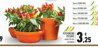 Conad Peperoncino Piccante offerta