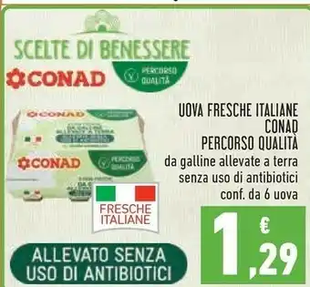 Conad Conad Uova Fresche Italiane Percorso Qualità offerta