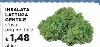 Ipercoop Lattuga offerta