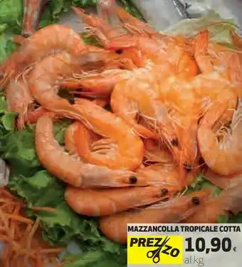 Mazzancolle
