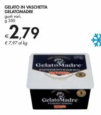 Gelato in vaschetta gelatomadre