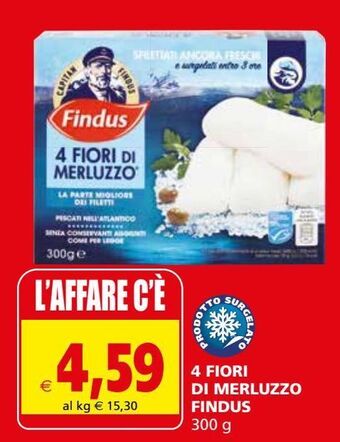 Il Gigante 4 fiori di merluzzo findus offerta