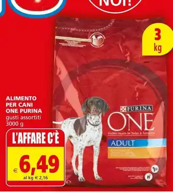 Il Gigante Alimento per cani one purina offerta