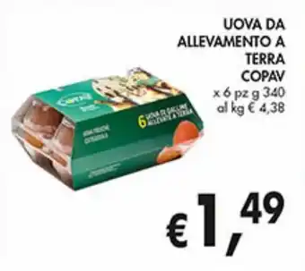 Supermercato Coal Uova da allevamento a terra copav offerta
