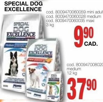 Mondo Brico Special dog excellence offerta
