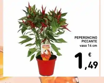 Spazio Conad Peperoncino piccante offerta
