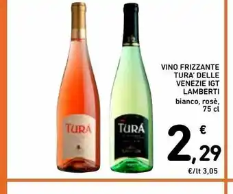 Spazio Conad Vino frizzante tura' delle venezie igt lamberti offerta