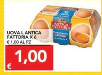 TuoDi Uova L Antica Fattoria x 6 offerta