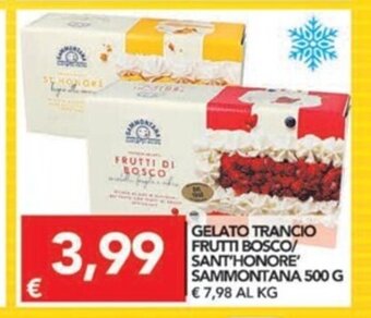TuoDi Gelato Trancio Frutti Bosco/Sant'Honore Sammontana 500g offerta