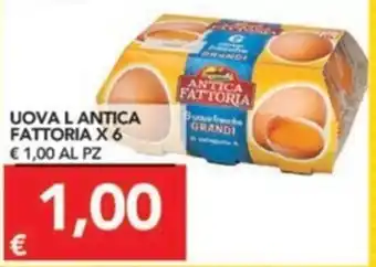 TuoDi Antica Fattoria Uova L x 6 offerta