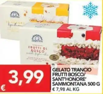 TuoDi Gelato Trancio Frutti Bosco/Sant'Honore Sammontana 500g offerta