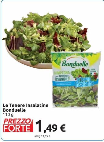 Carrefour Iper Le tenere insalatine bonduelle offerta