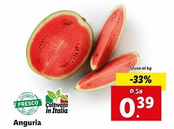 Lidl Anguria offerta