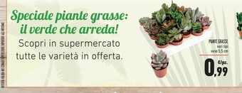 Conad Superstore Piante offerta