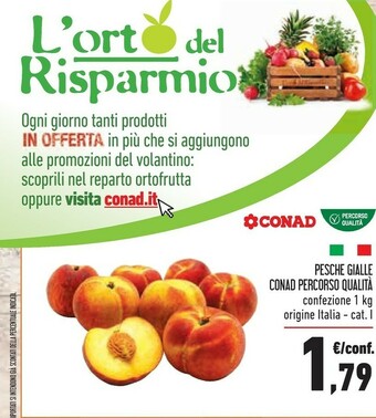 Conad Superstore Pesche offerta