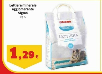 Lettiera per gatti