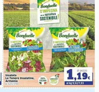 Sigma Insalata offerta