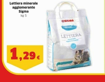 Sigma Lettiera per gatti offerta