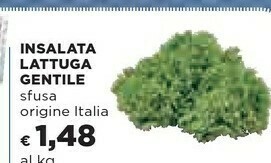 Coop Lattuga offerta