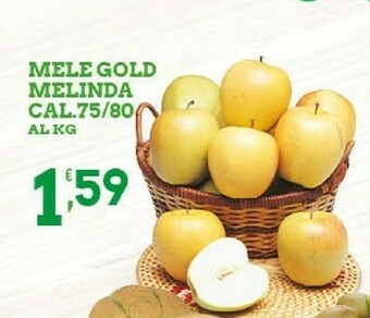 Melinda Mele Golden